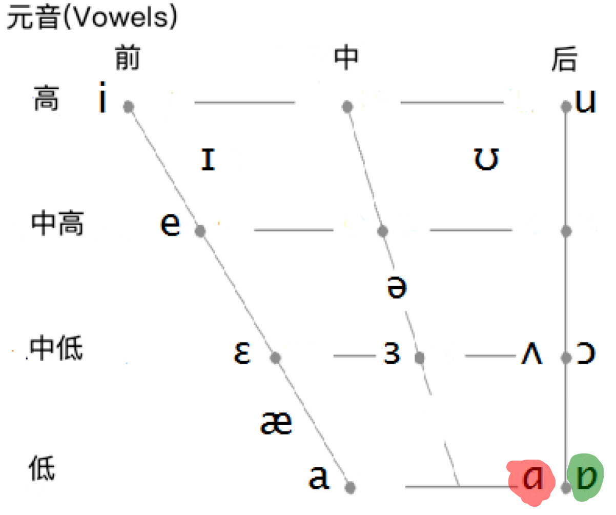/α/ 和 /ɒ/音位对比