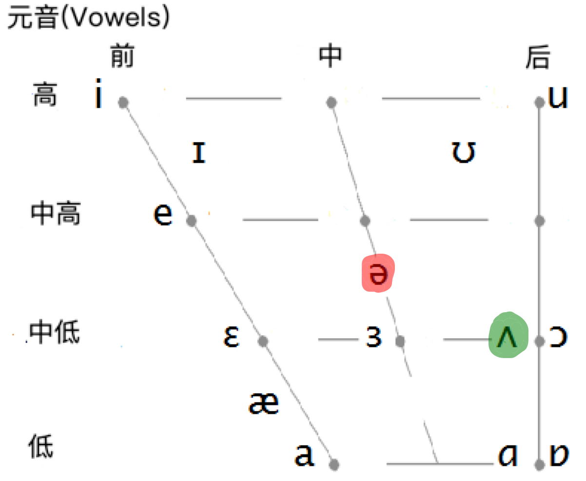 /ə/ 和 /ʌ/音位对比