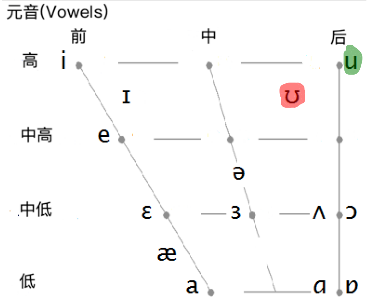 /u/ 和 /ʊ/音位对比