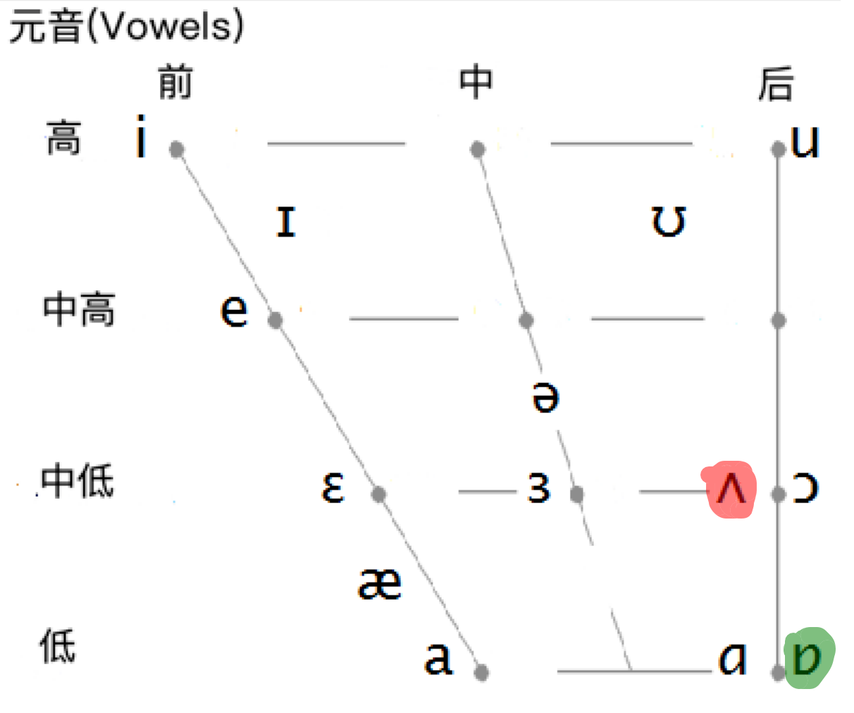 /ʌ/ 和 /ɒ/音位对比