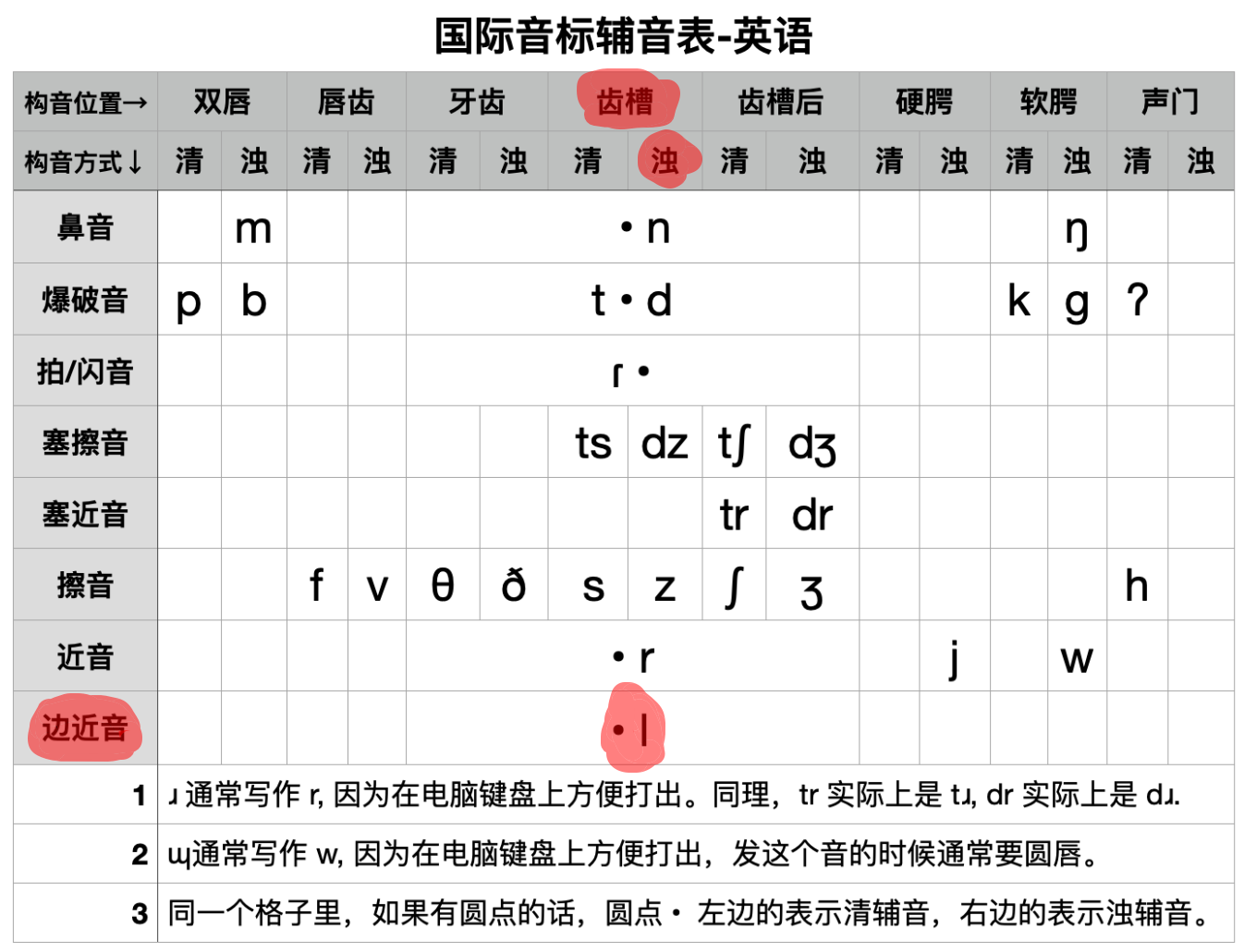 /l/的构音位置和构音方式