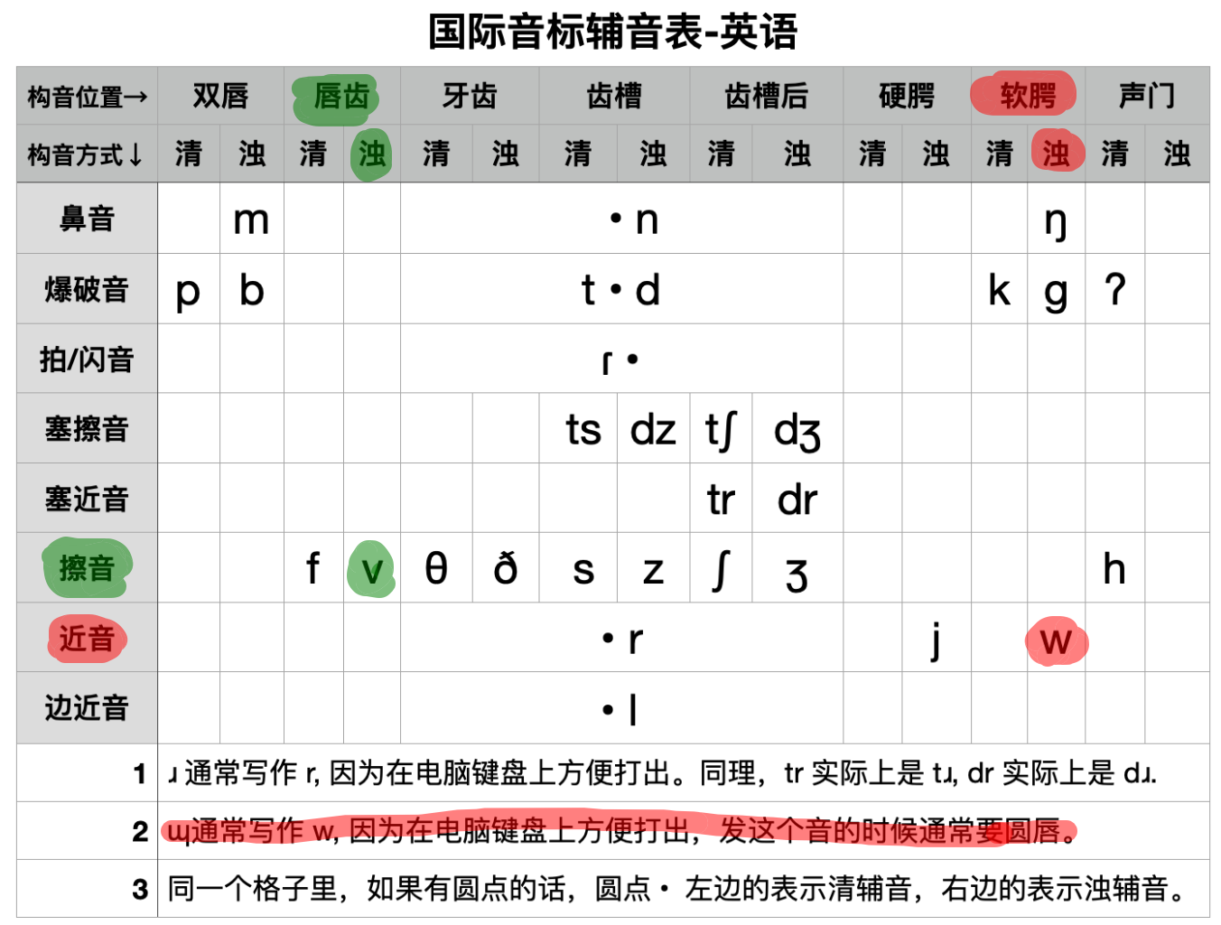 /v/-/w/构音对比图